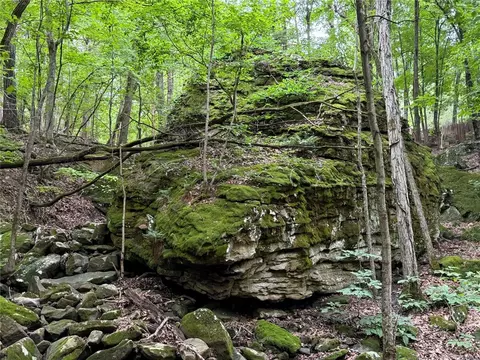 000 Nc 8330, Jasper, AR 72641 photo 34