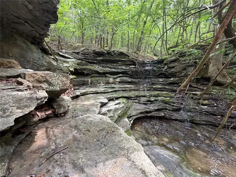 000 Nc 8330, Jasper, AR 72641 photo 39