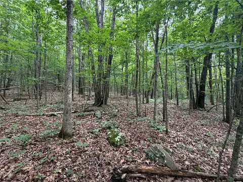 000 Nc 8330, Jasper, AR 72641 photo 48