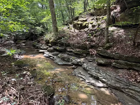 000 Nc 8330, Jasper, AR 72641 photo 7