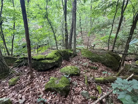 000 Nc 8330, Jasper, AR 72641 photo 44