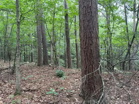 000 Nc 8330, Jasper, AR 72641 photo 23