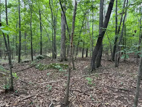 000 Nc 8330, Jasper, AR 72641 photo 28