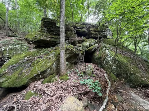 000 Nc 8330, Jasper, AR 72641 photo 4