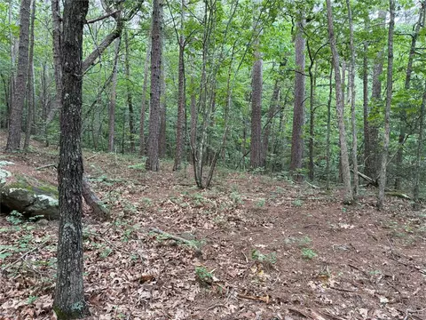 000 Nc 8330, Jasper, AR 72641 photo 21