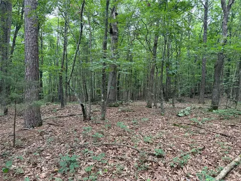 000 Nc 8330, Jasper, AR 72641 photo 24