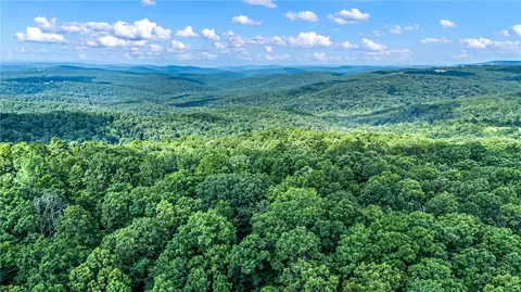 00 Dabney, Jerusalem, AR 72080 photo 7