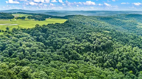 00 Dabney, Jerusalem, AR 72080 photo 3