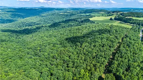 00 Dabney, Jerusalem, AR 72080 photo 6