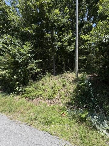 19 Dornoch Ln, Bella Vista, AR 72715
