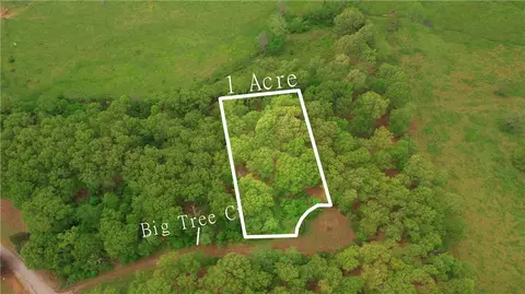 43 Big Tree Ct, Elizabeth, AR 72531