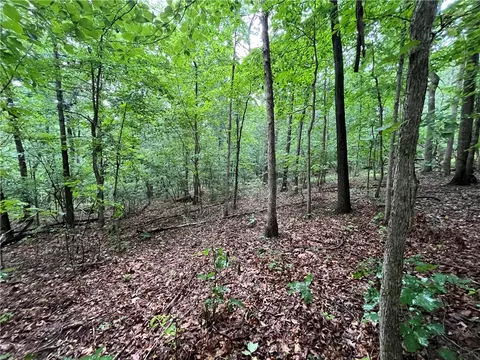 lot28 Block 2 N Moors Ln, Bella Vista, AR 72714