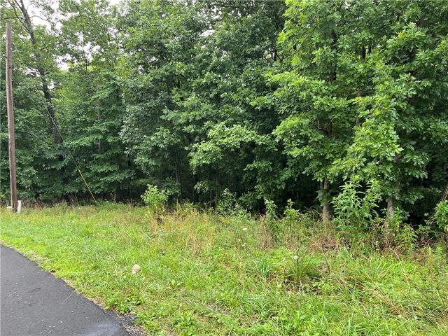 lot28 Block 2 N Moors Ln, Bella Vista, AR 72714