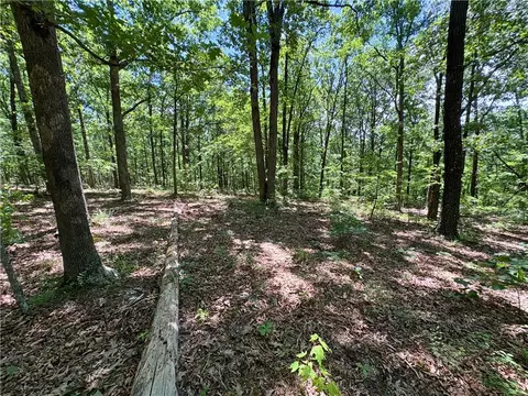tbd Madison 3345, Witter, AR 72776 photo 10