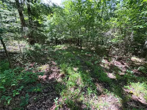 tbd Madison 3345, Witter, AR 72776 photo 22