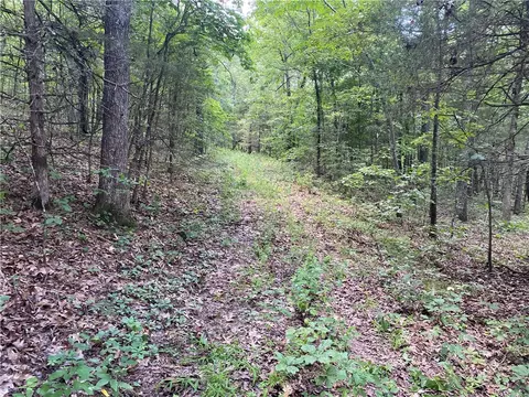 Mc 4029, Everton, AR 72633 photo 31