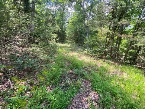 Mc 4029, Everton, AR 72633 photo 17