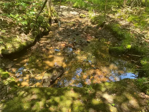 Mc 4029, Everton, AR 72633 photo 13