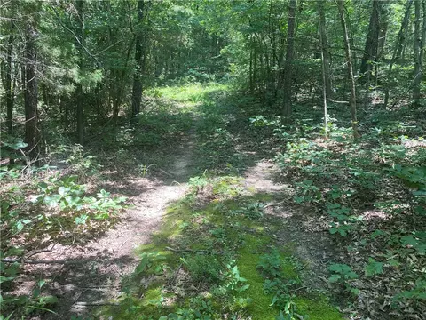 Mc 4029, Everton, AR 72633 photo 21