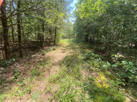 Mc 4029, Everton, AR 72633 photo 18