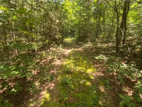 Mc 4029, Everton, AR 72633 photo 22