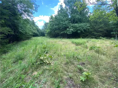 Mc 4029, Everton, AR 72633 photo 27