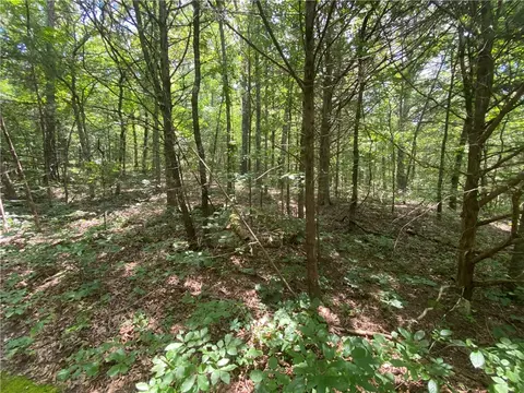 Mc 4029, Everton, AR 72633 photo 23