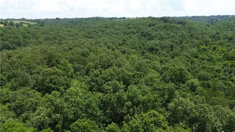 Mc 4029, Everton, AR 72633 photo 30
