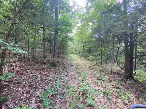 Mc 4029, Everton, AR 72633 photo 33