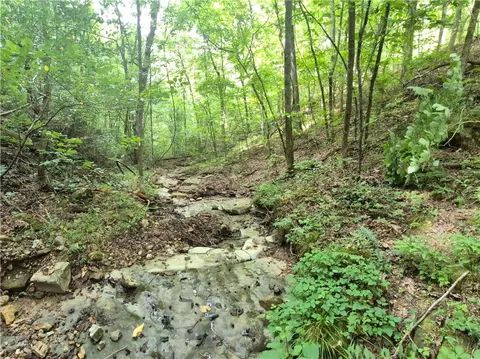 Other - 488 Nc 3990, Jasper, AR 72641 photo 24 of 25