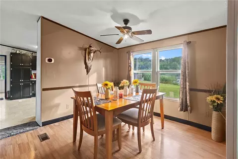 110 Alms Ave, Walnut Shade, MO 65771 photo 9
