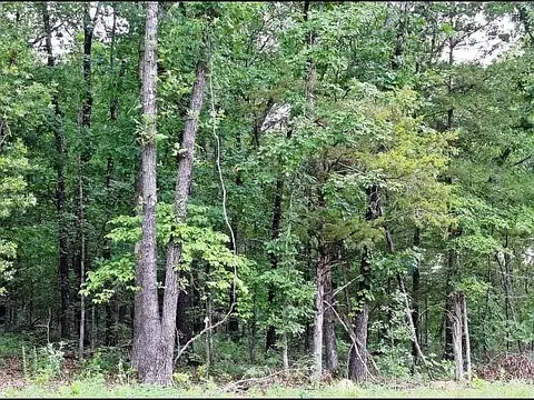 Other - 3673 Grassy Gap Rd, Harrison, AR 72601 photo 19 of 23