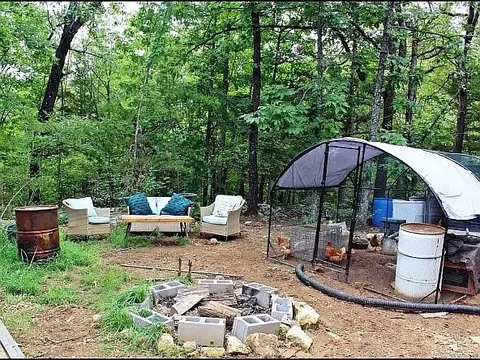 Exterior - 3673 Grassy Gap Rd, Harrison, AR 72601 photo 2 of 4