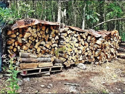 Other - 3673 Grassy Gap Rd, Harrison, AR 72601 photo 20 of 23