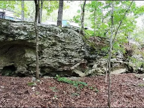Other - 3673 Grassy Gap Rd, Harrison, AR 72601 photo 23 of 23