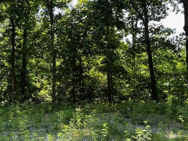 lot6 Southborough Ln, Bella Vista, AR 72714