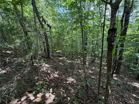 tbd Old Hwy 7, Jasper, AR 72641 photo 14