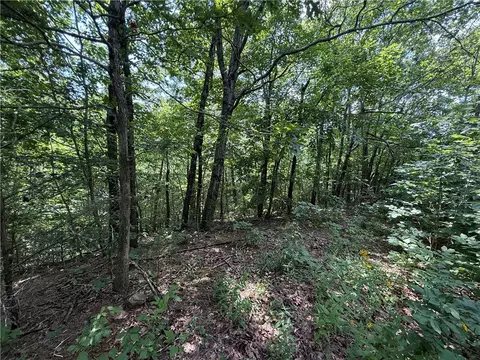 tbd Old Hwy 7, Jasper, AR 72641 photo 10