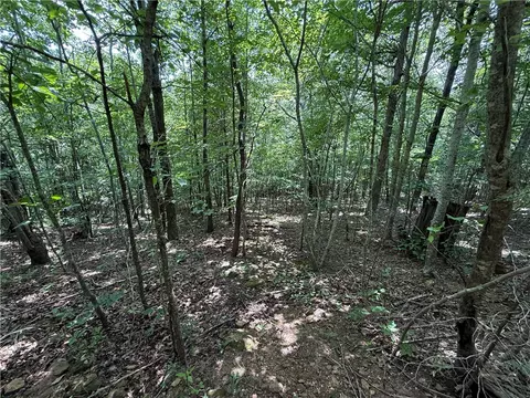 tbd Old Hwy 7, Jasper, AR 72641 photo 13