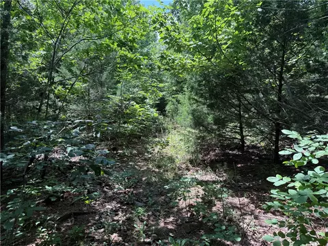 tbd Old Hwy 7, Jasper, AR 72641 photo 11