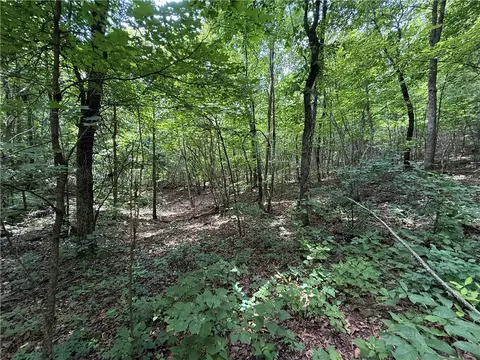 tbd Old Hwy 7, Jasper, AR 72641 photo 17