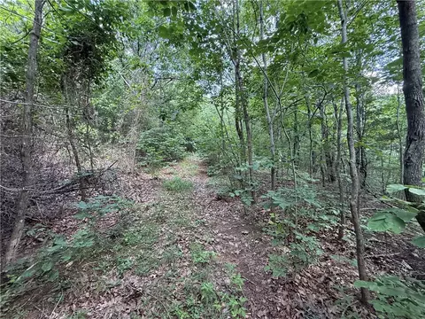tbd Old Hwy 7, Jasper, AR 72641 photo 27