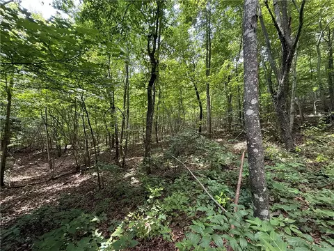 tbd Old Hwy 7, Jasper, AR 72641 photo 18