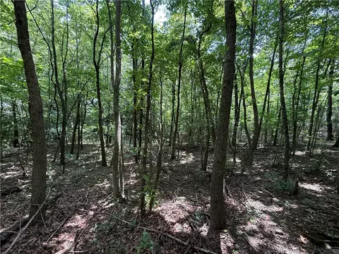 tbd Old Hwy 7, Jasper, AR 72641 photo 15