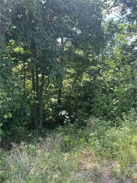 Dunvegan Lane, Bella Vista, AR 72715