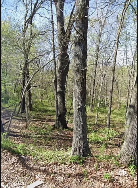 lot13 Coalburn Cir, Bella Vista, AR 72715