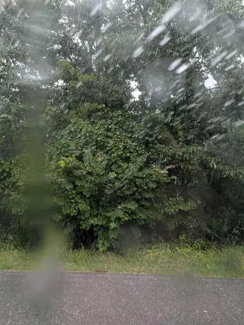 Duns Lane, Bella Vista, AR 72715