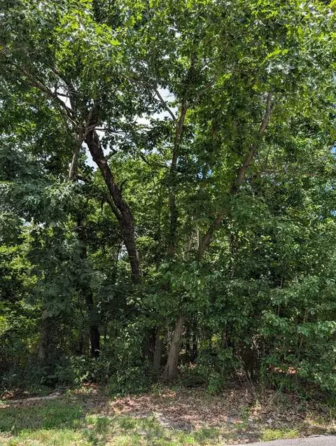 Crosshill Drive, Bella Vista, AR 72715