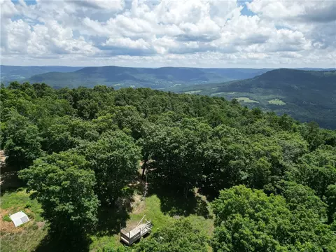 556 Nc 6077, Jasper, AR 72641 photo 5