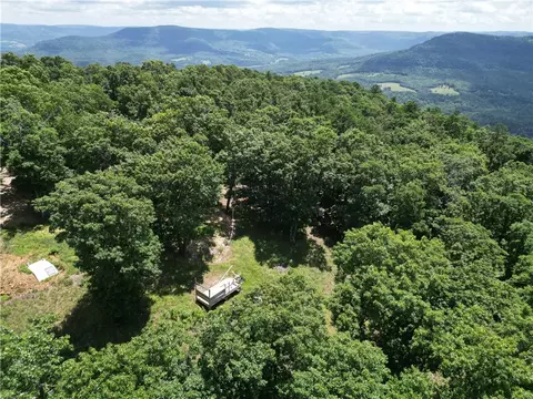 556 Nc 6077, Jasper, AR 72641 photo 40